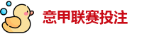 意甲投注